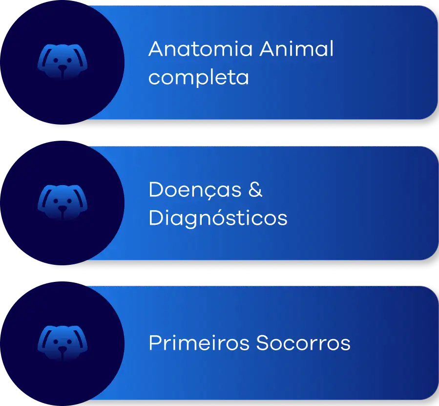 conteúdo med vet 1
